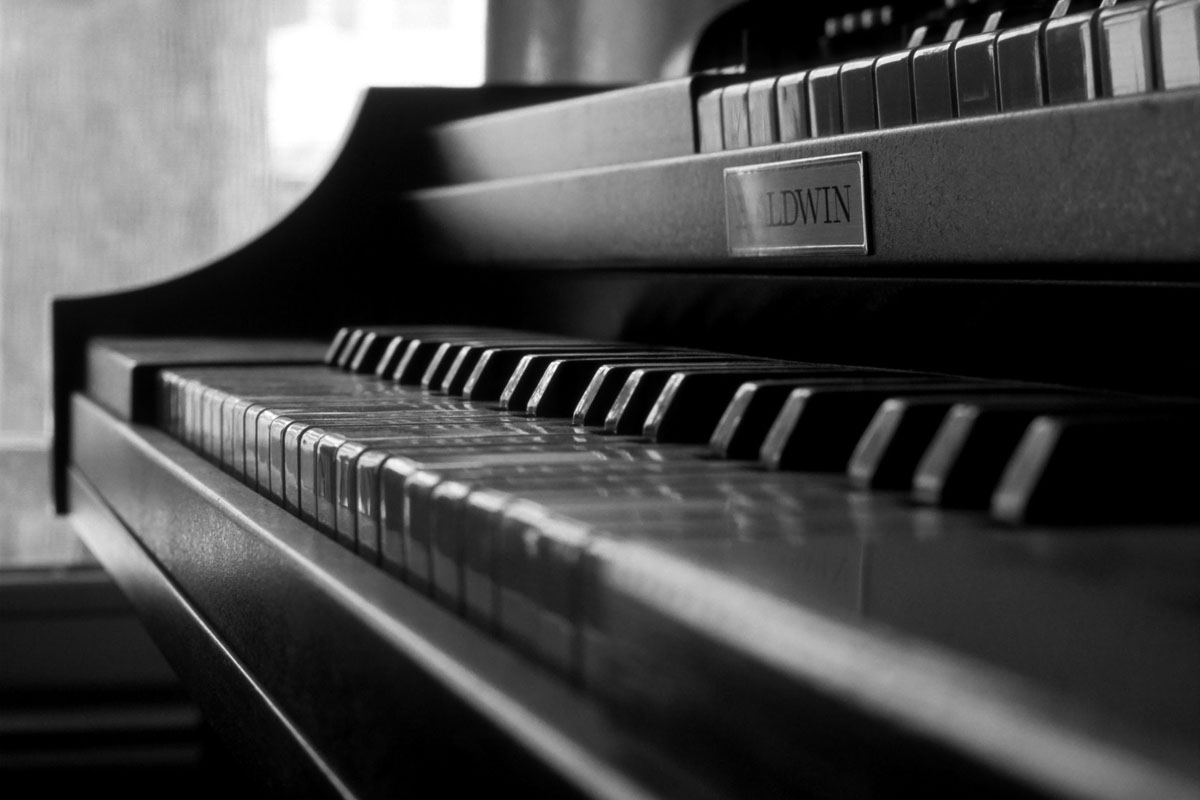 Organ