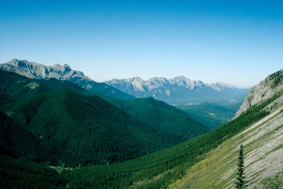 Valley of Giants