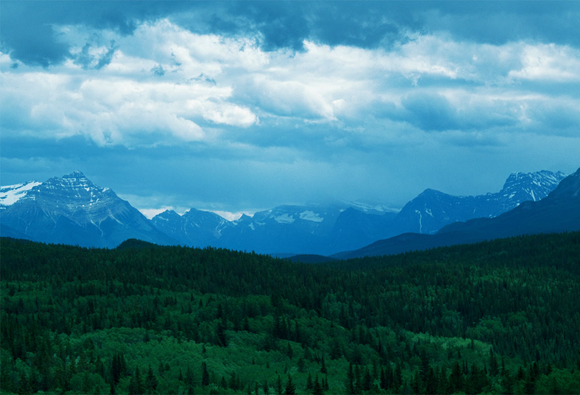 Jasper Light
