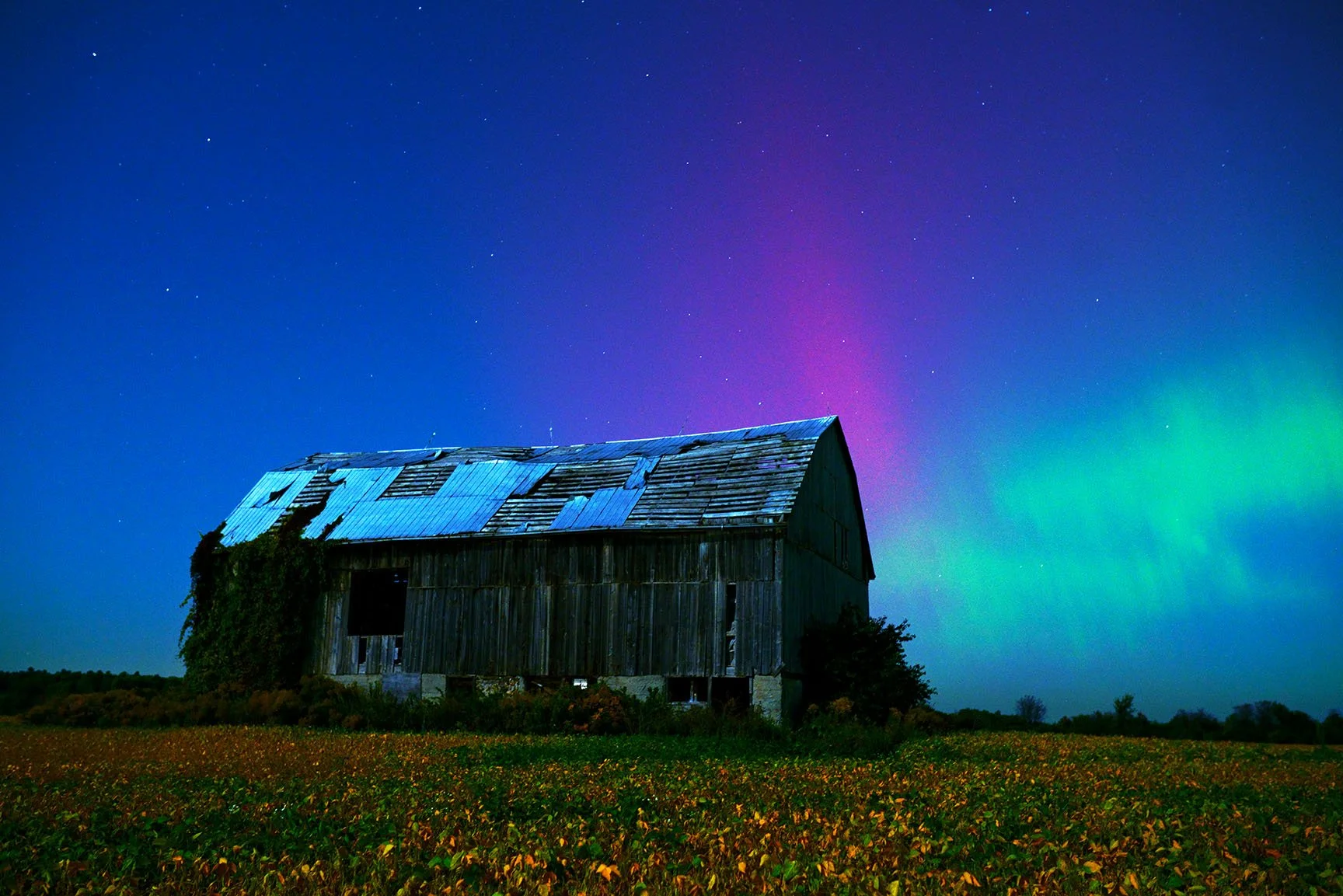 Aurora Farm 2