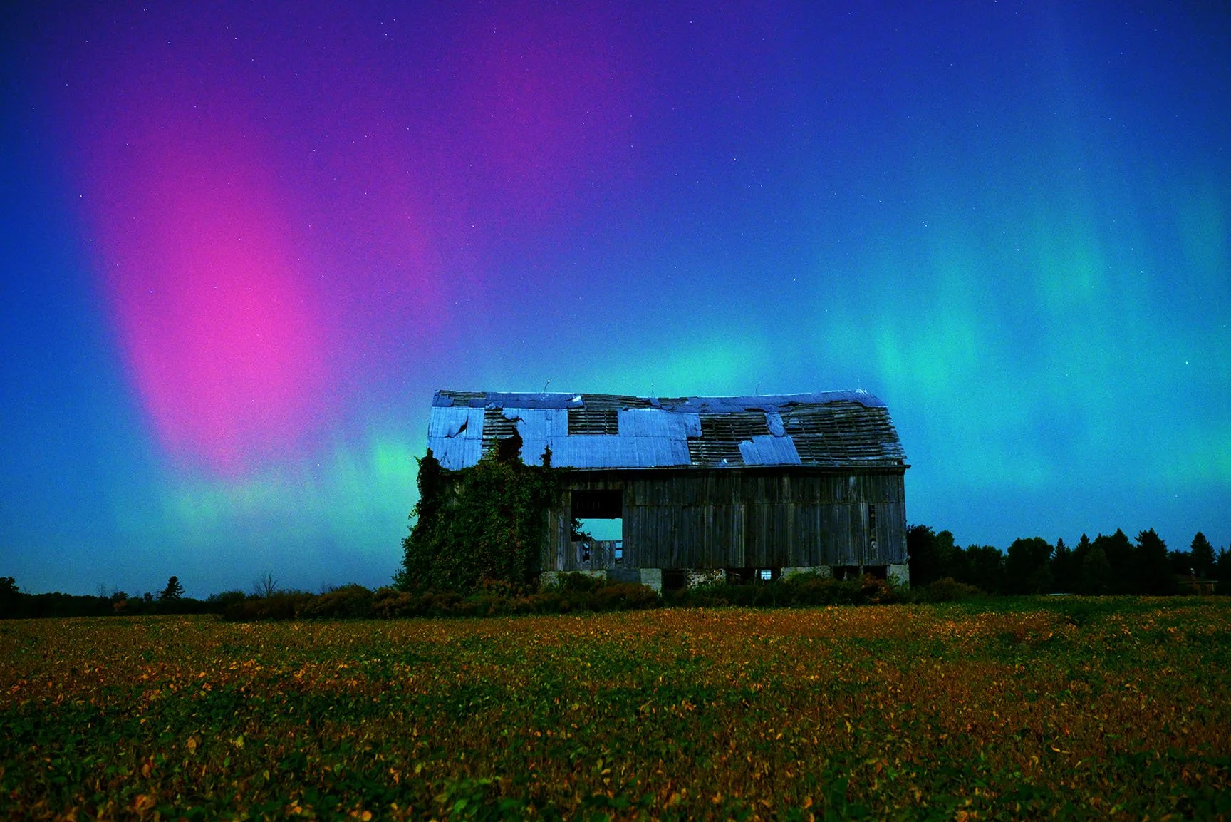Aurora Farm 1
