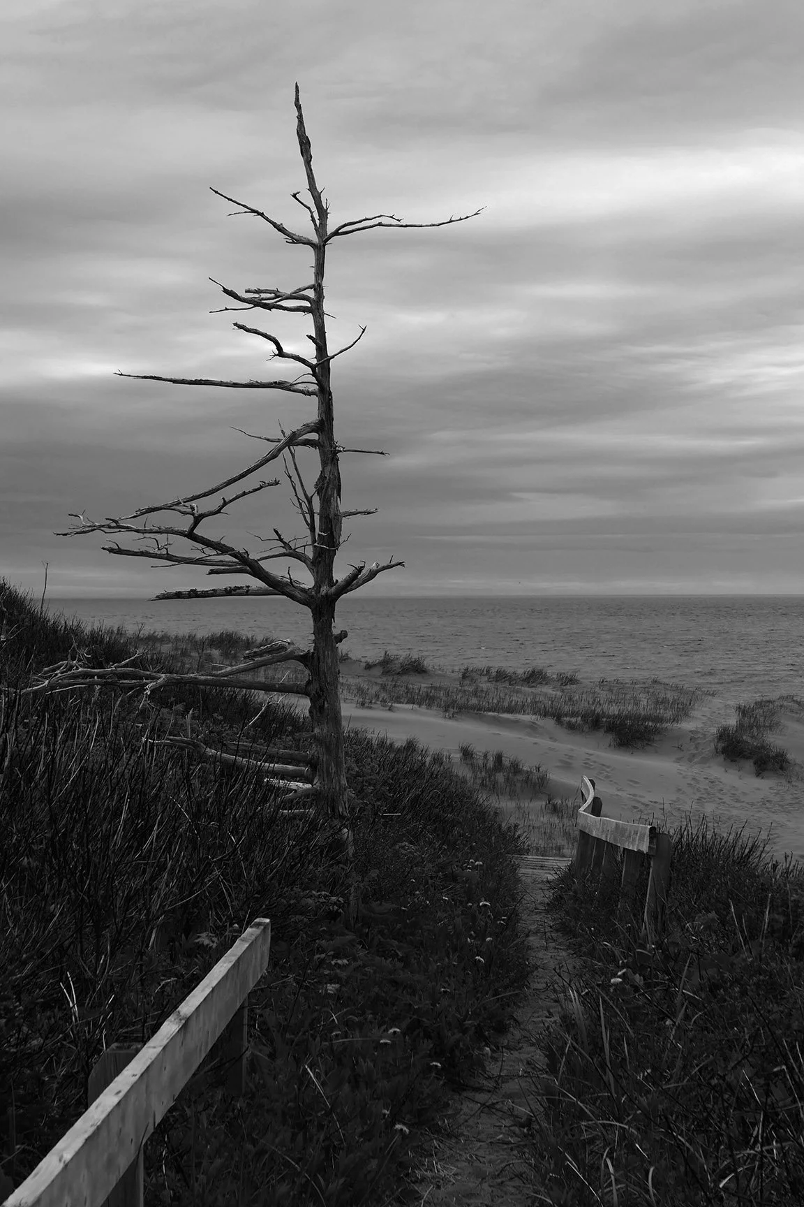 Brook Beach Trail