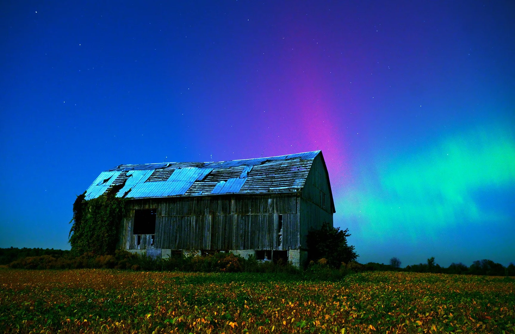 Aurora Farm