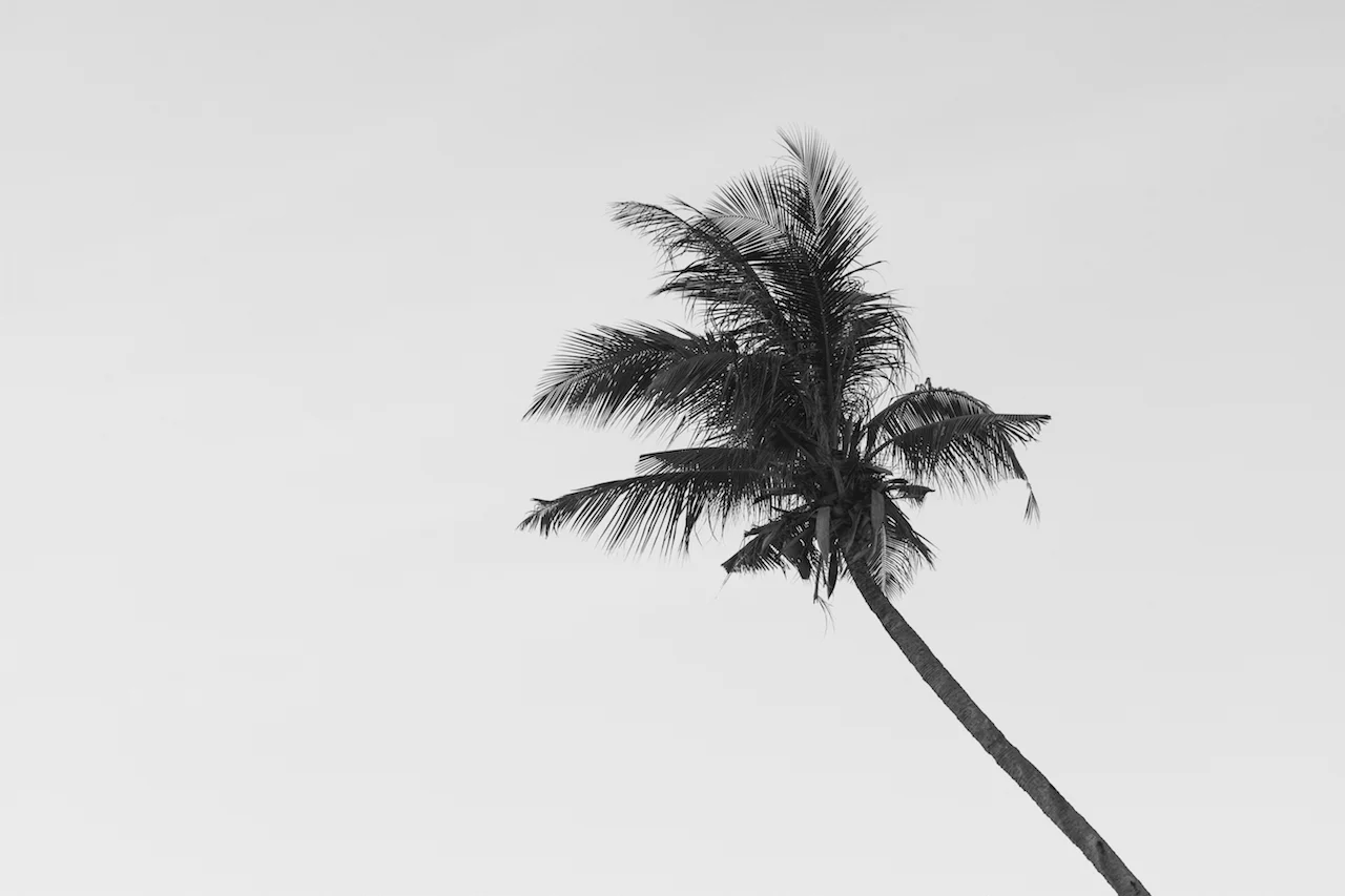 bali.jpg