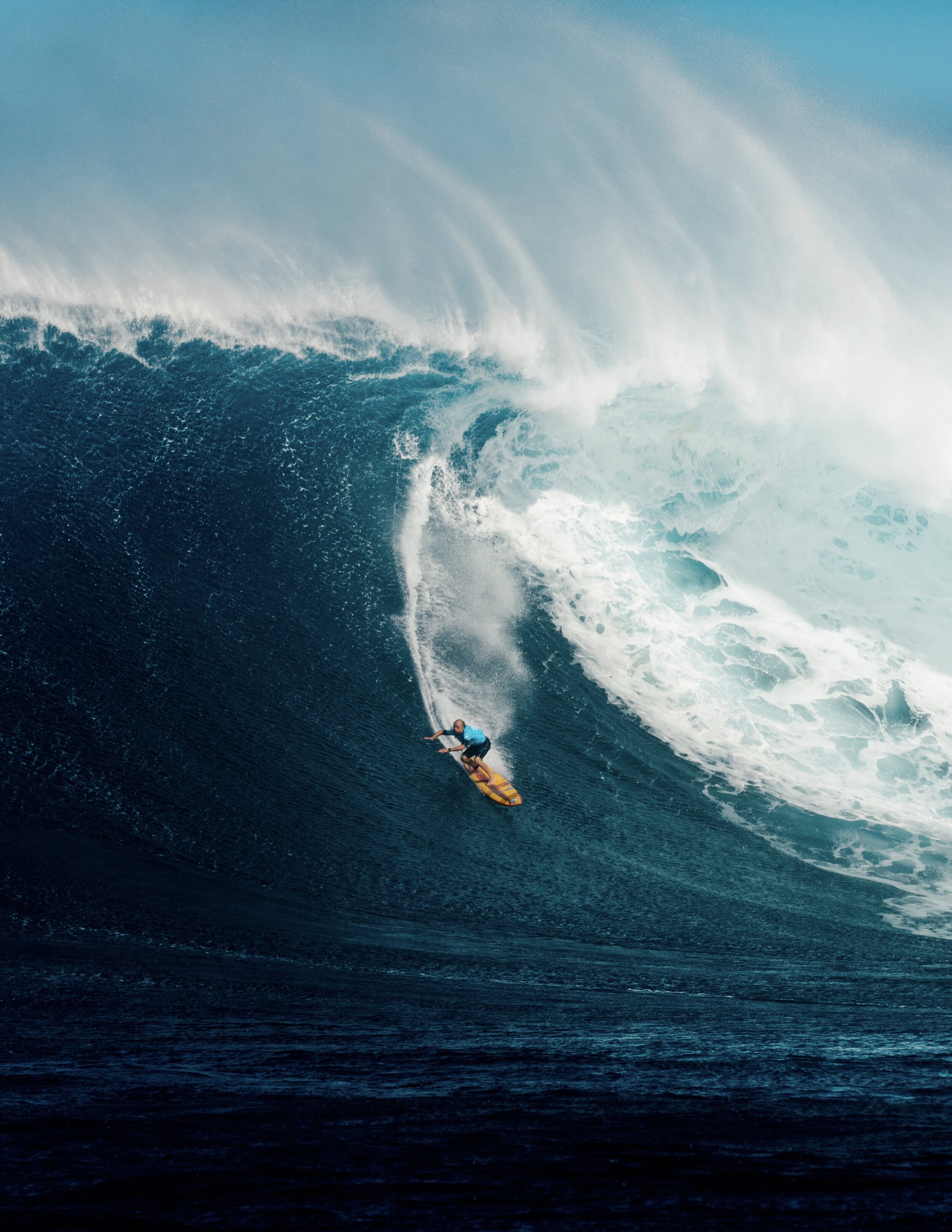Jaws19-8898.jpg
