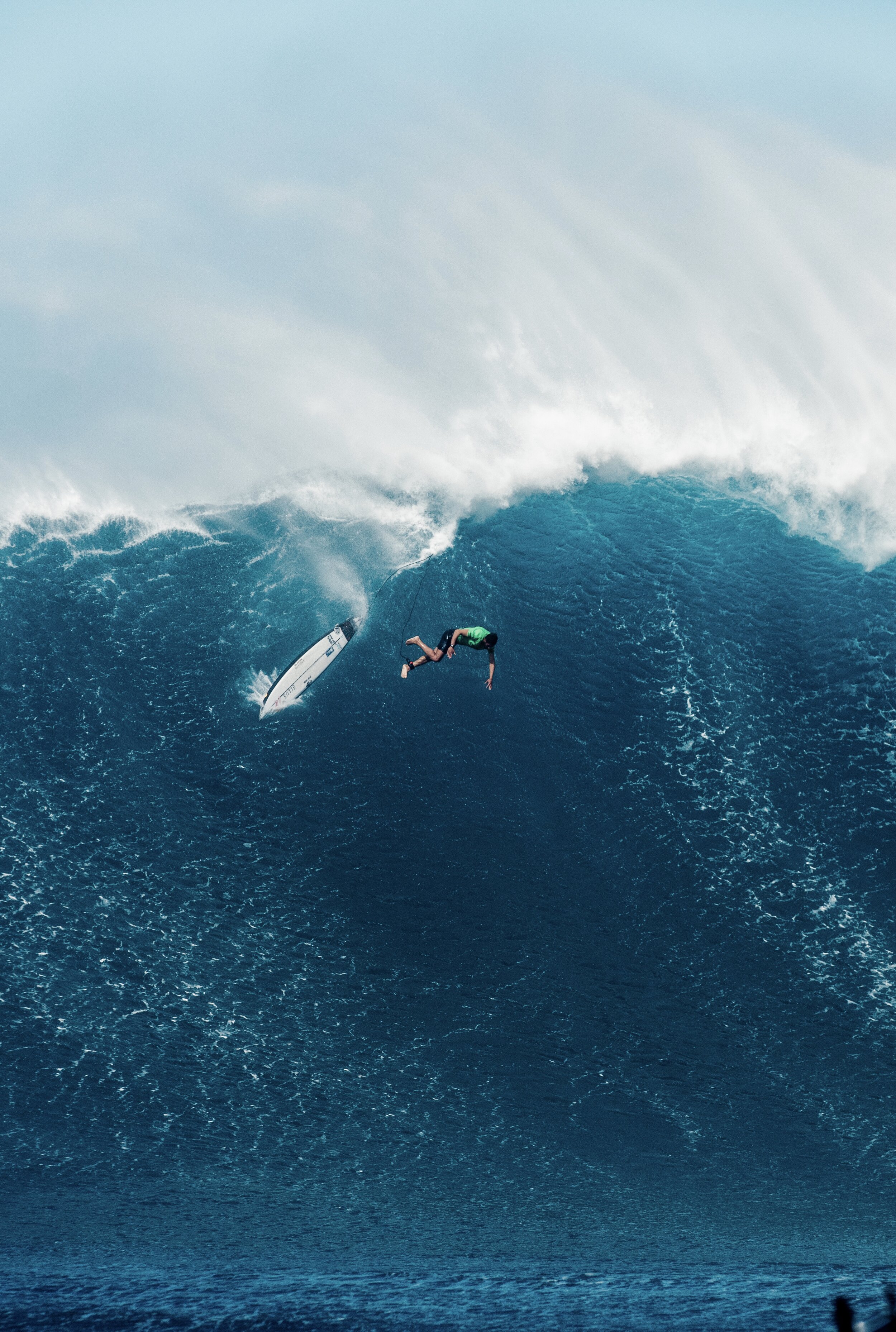 Jaws19-9614.jpg