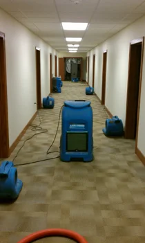 IMAG0077.jpg
