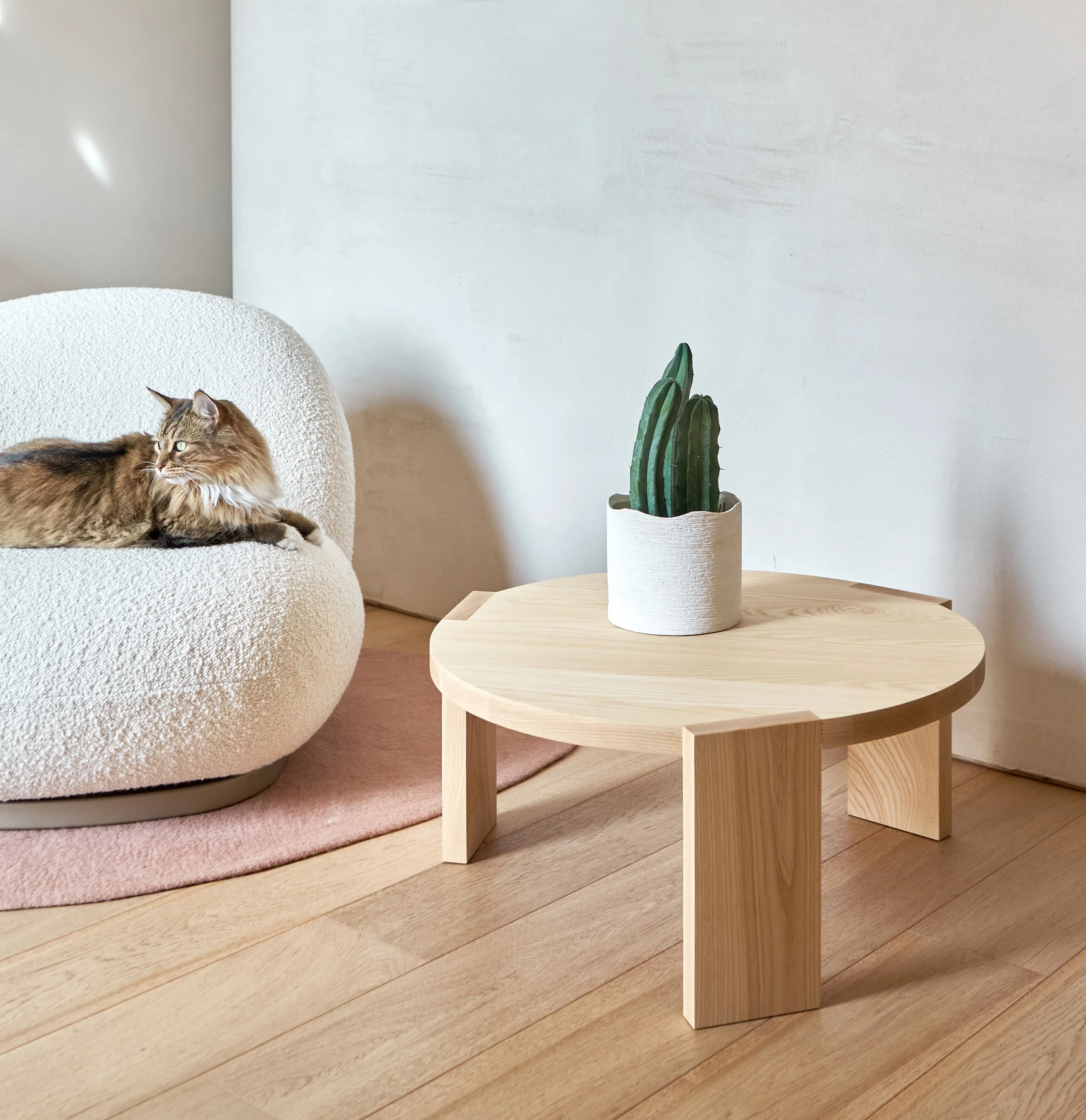 Tangent_Eveline_Simard_Coop_Établi-1367-HR Recadrer Carré.jpg