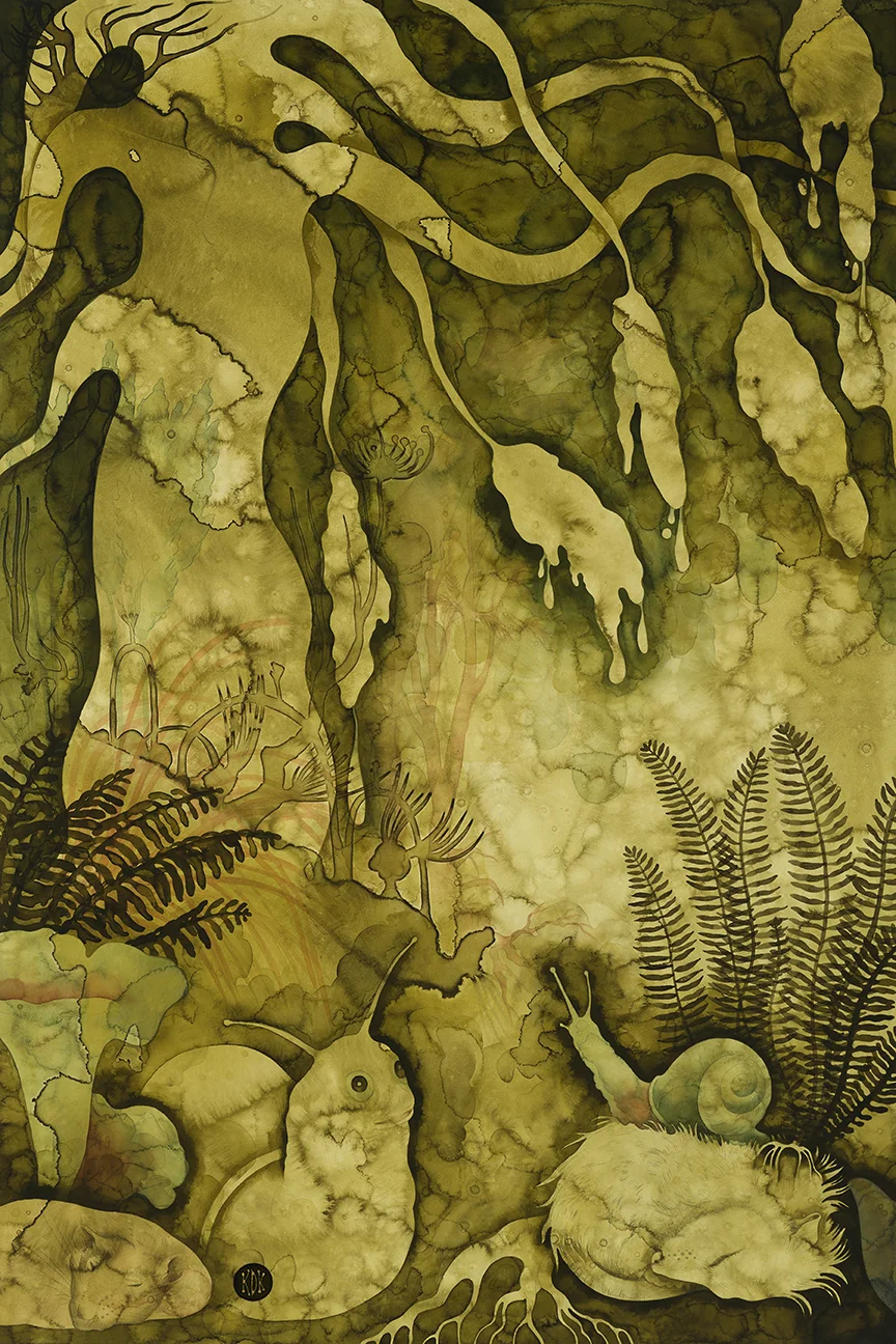 Pteridopsida.jpg