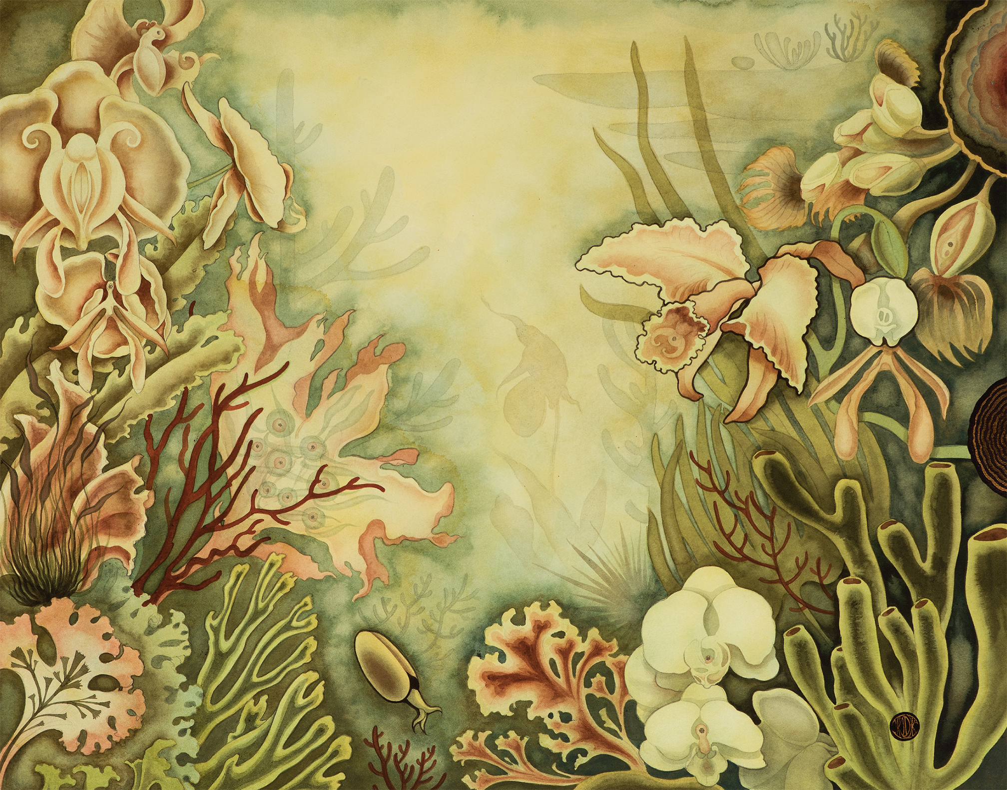 paphiopedilum reef.png