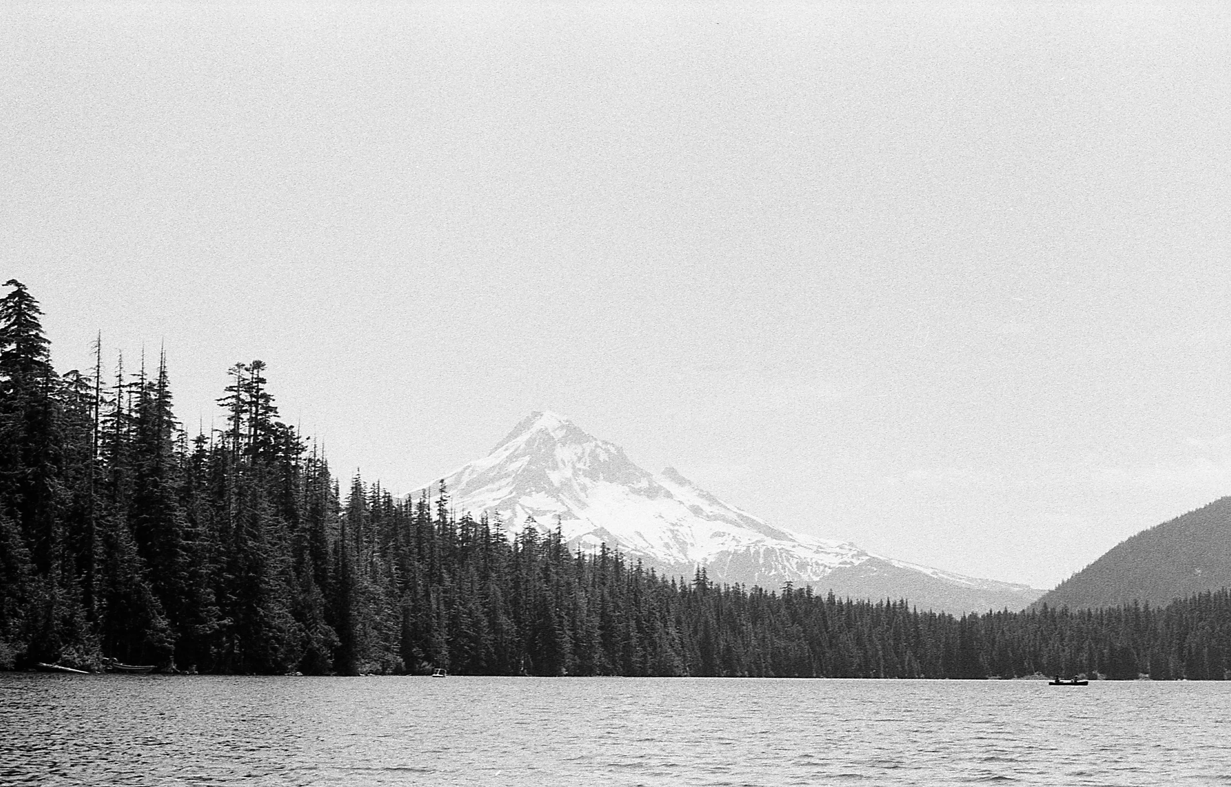 TriX-035.jpg