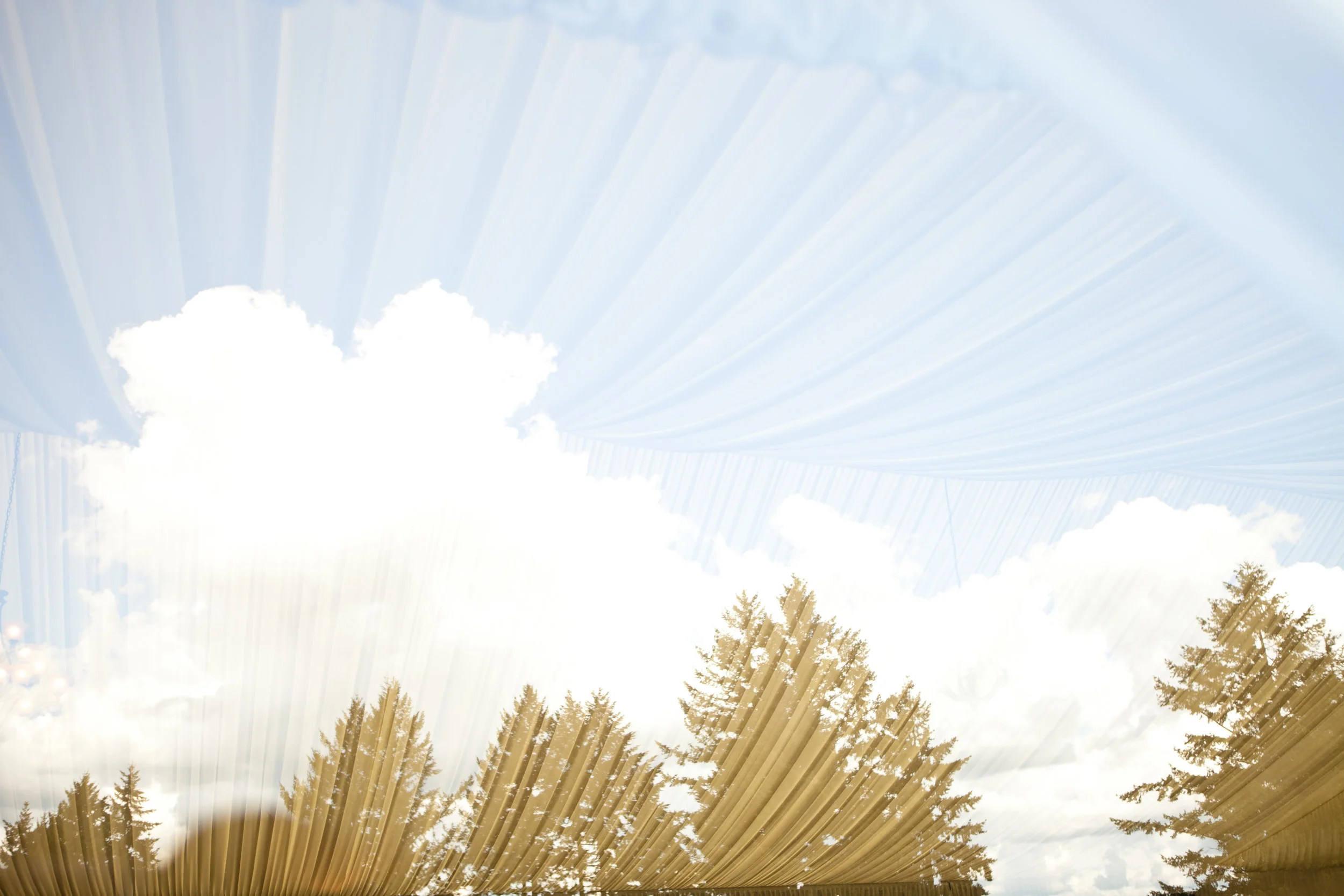 Brandon + Elisa Cresswell Wedding at Oregon Golf Club and Hotel Modera