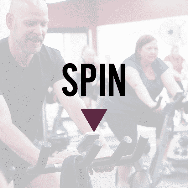 Spin-e1518198222556.png