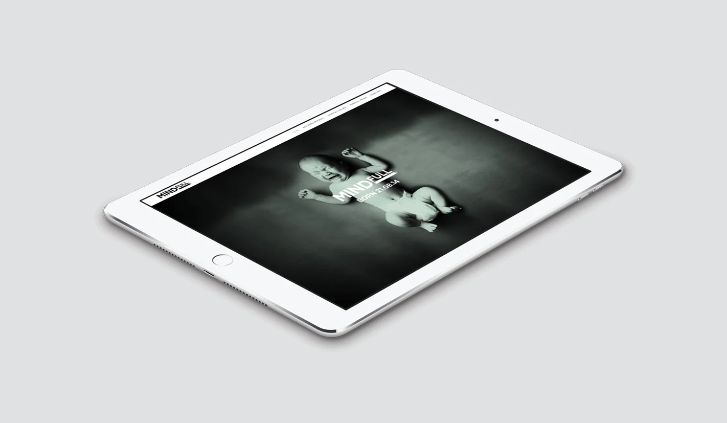 Pip Portfolio Website Image 20165.jpg