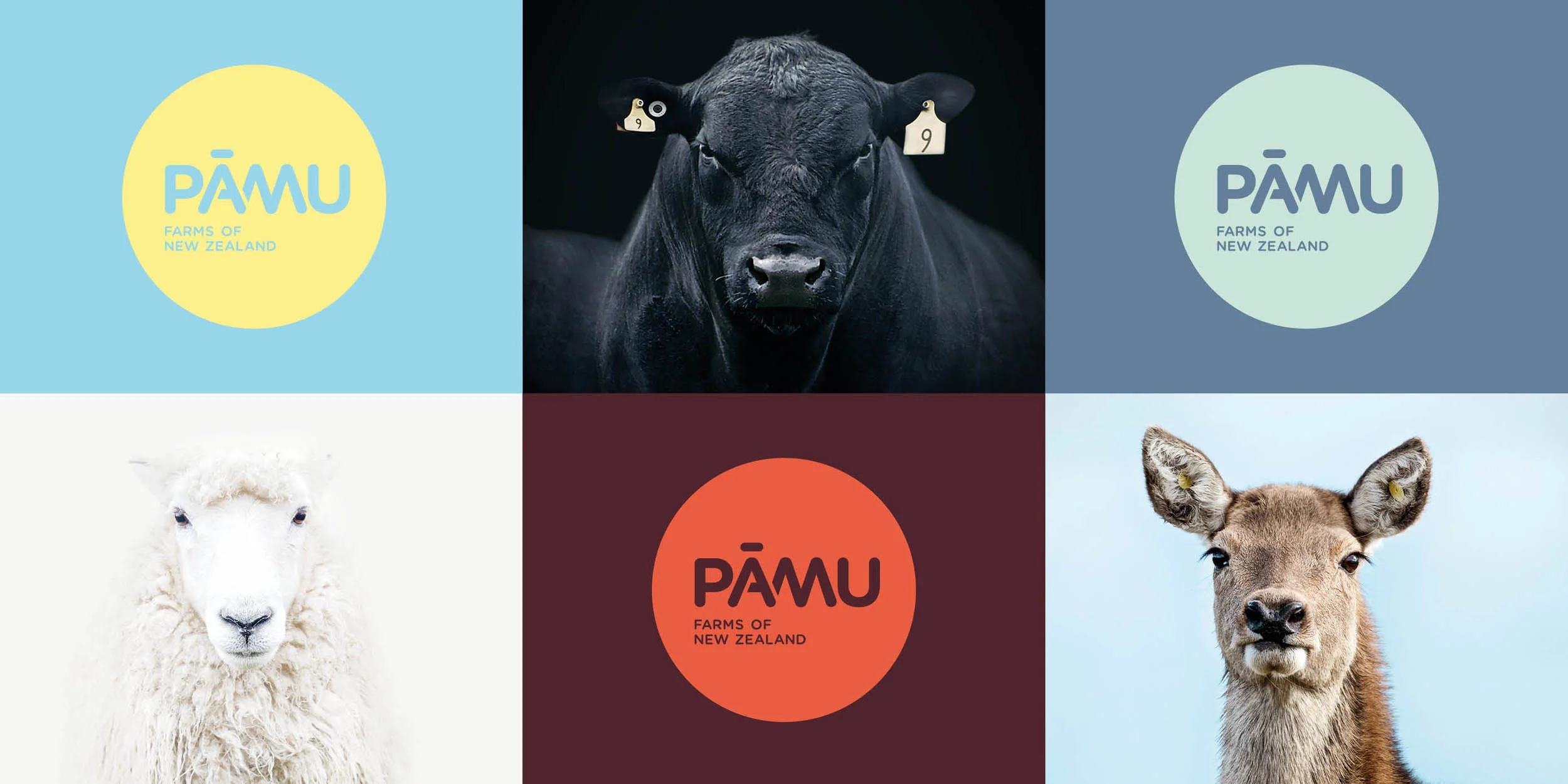 Pamu Website Portfolio3.jpg