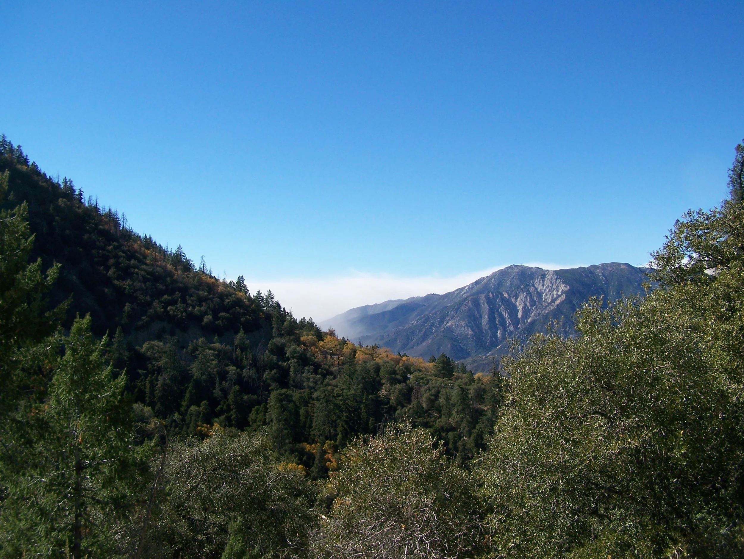 fall 07 009.jpg