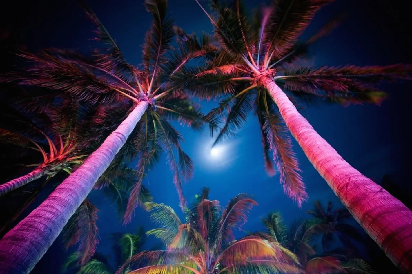 bg_img_blue.jpg