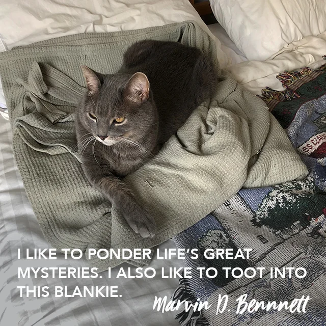 marvin thought leadership 112018.jpg