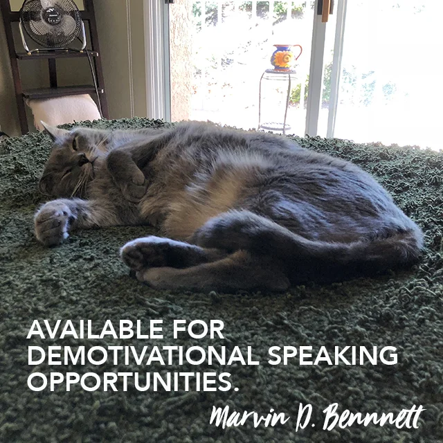 marvin thought leadership 111318.jpg