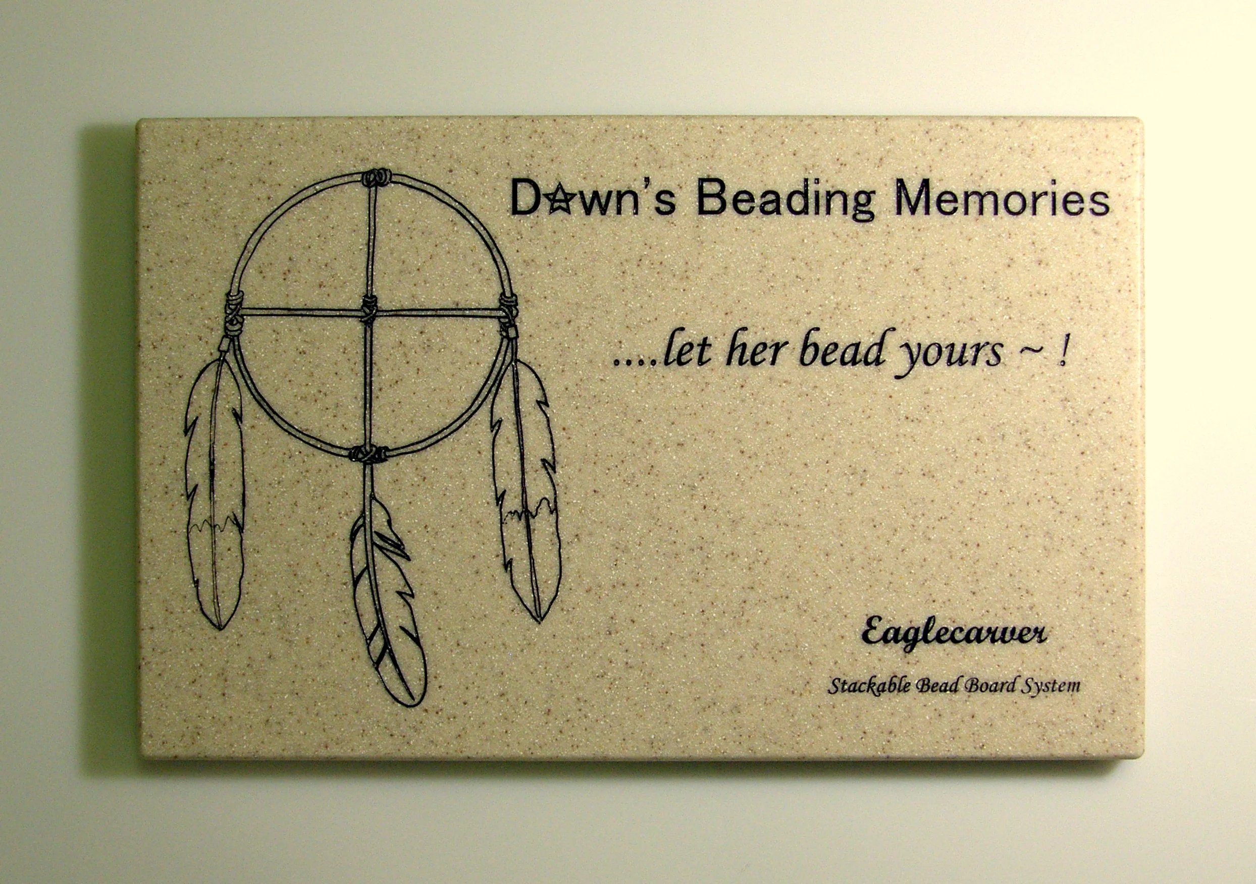 Model SC1 Custom Cover