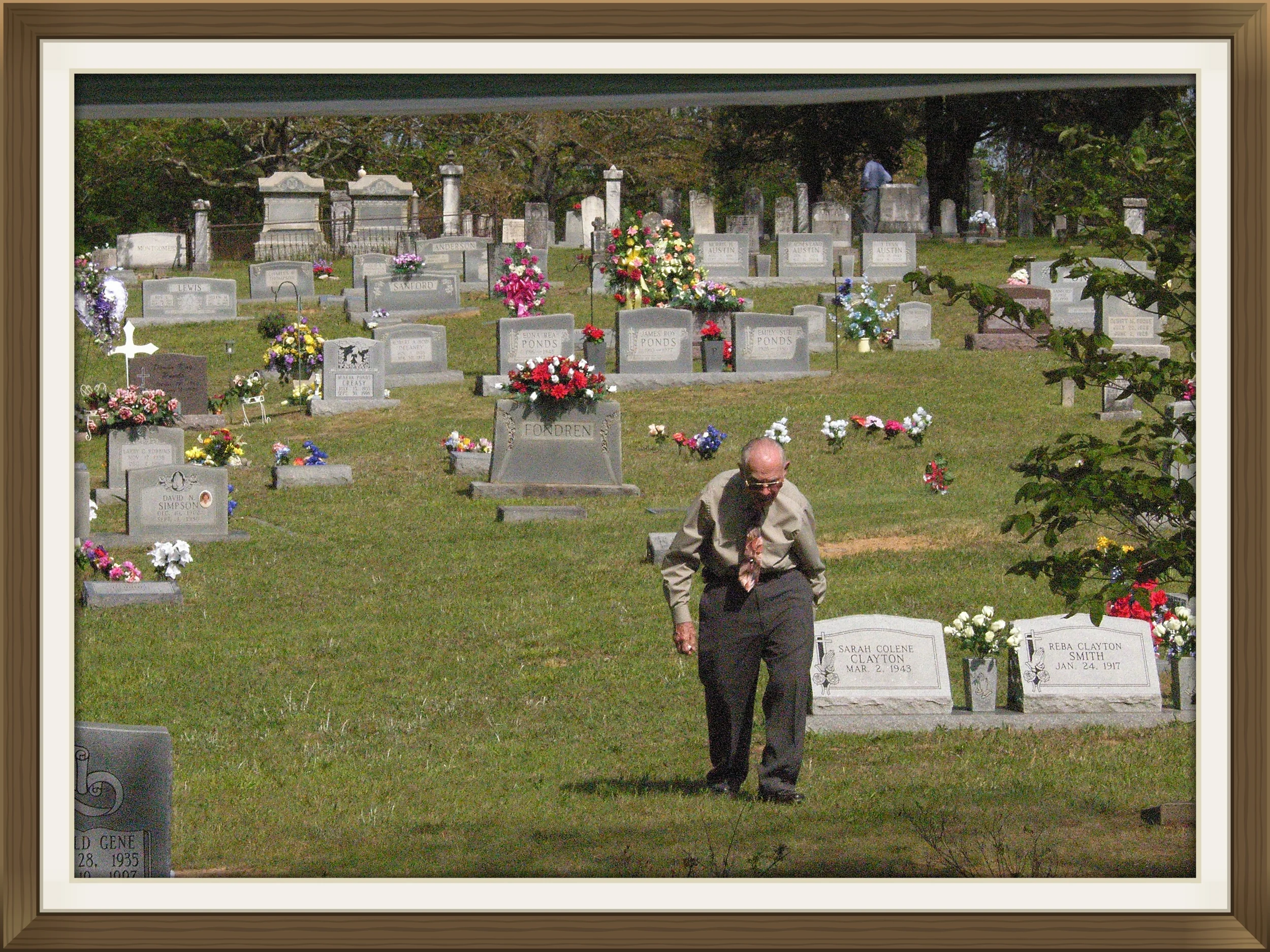 Walking back from talking with friends out in the cemetery