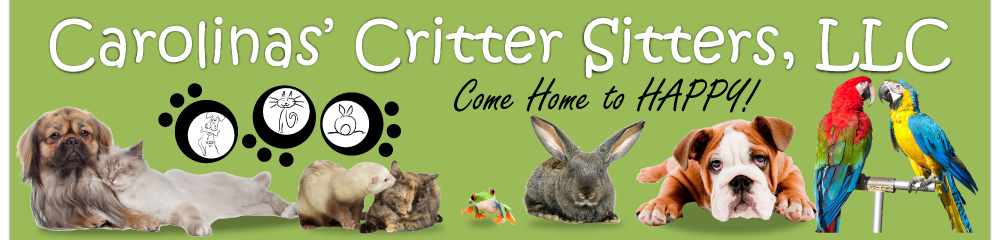 Pre-Easter Doggie Easter Egg Hunt at Carolinas Critter Sitters