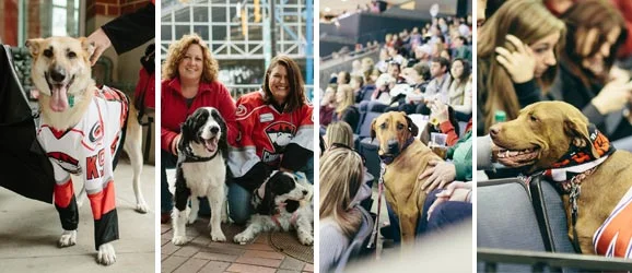 Charlotte Checkers 2015 Pooch Party
