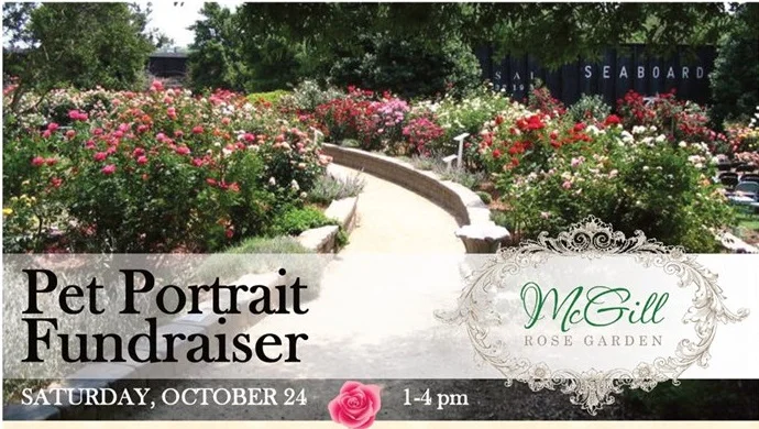 Pet Portrait Fundraiser & Adoption Event