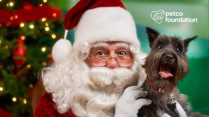Photos with Santa at Petco