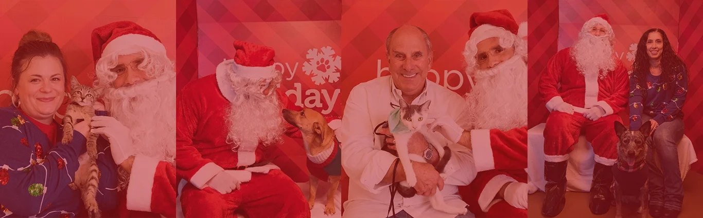 Photos with Santa at Petco - Metropolitan