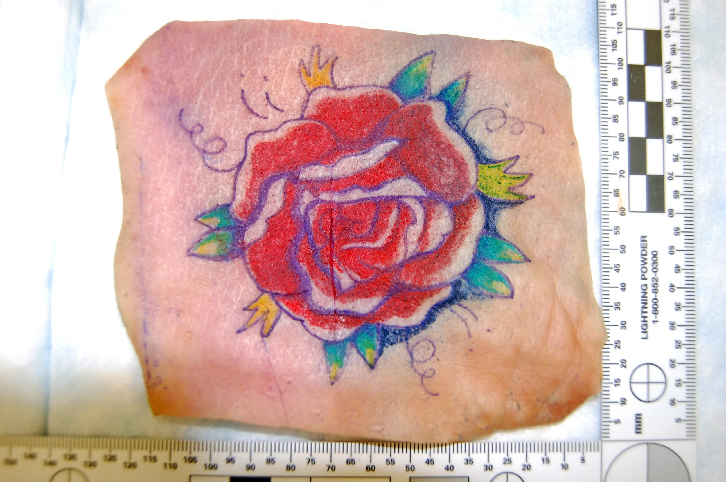 Inkspector: The Forensic Analysis of Tattoos and Ink