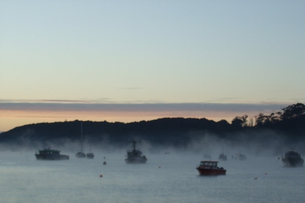 Copy of Misty morning on Stewart Island, New Zealand.