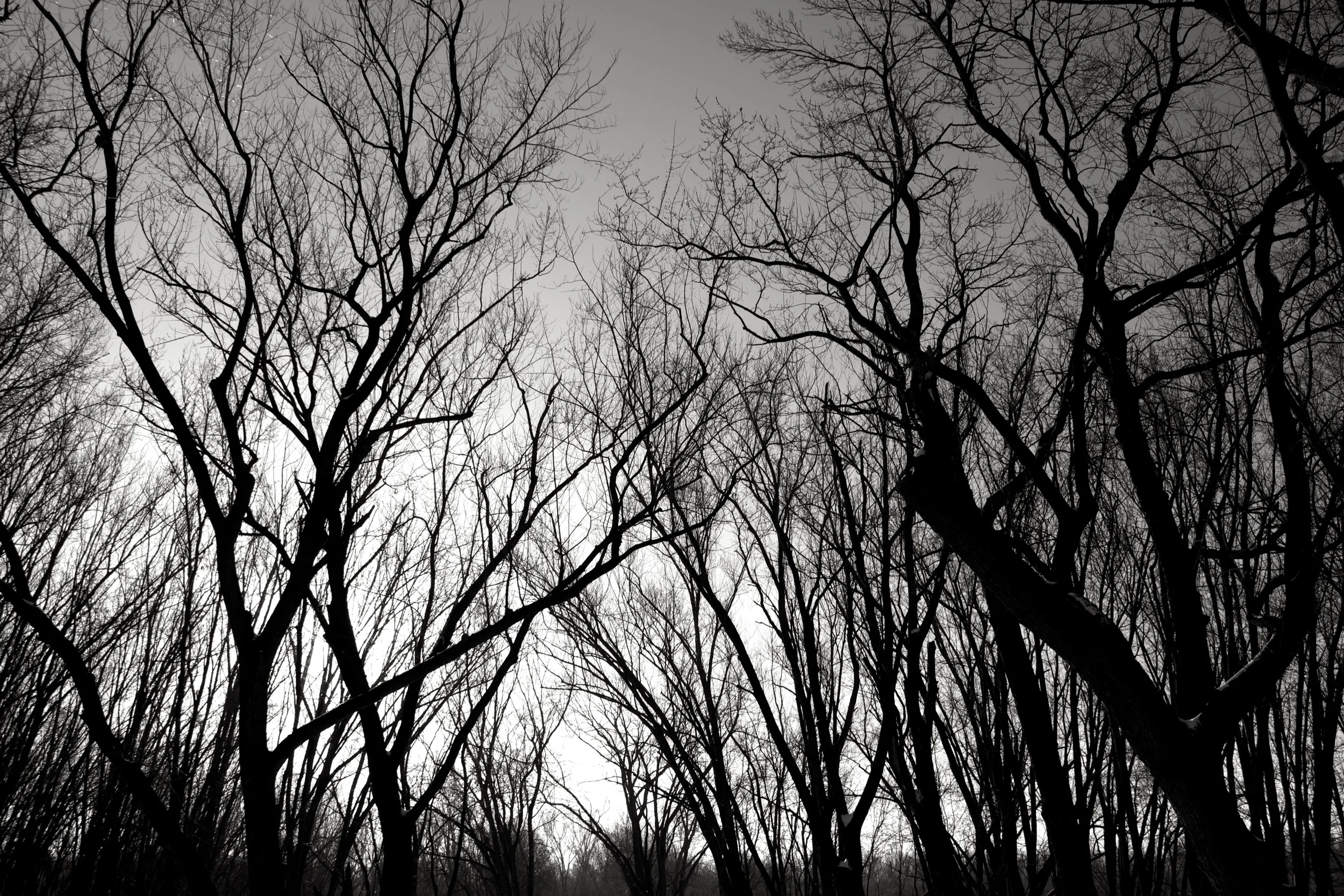 Bark River Rd: Fort Atkinson, WI