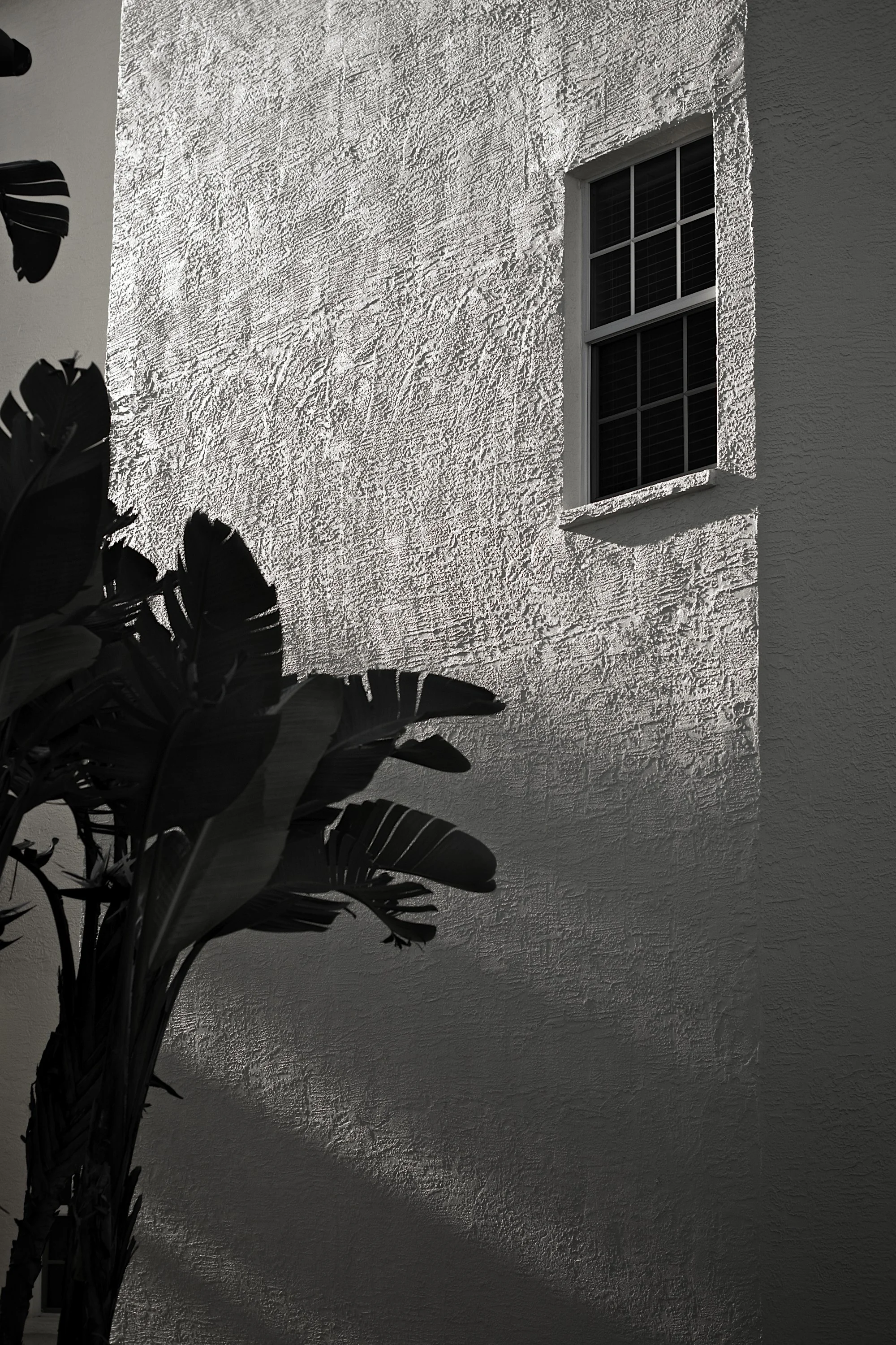 CYD_3188 97 - Version 3.jpg