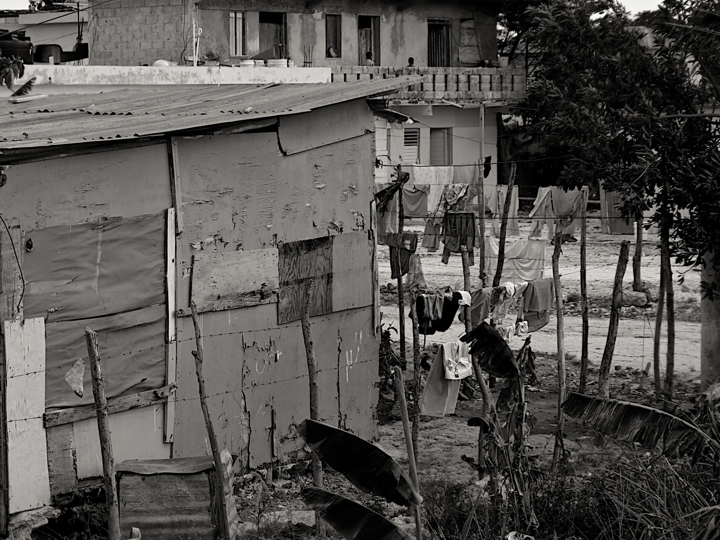 P4017183 - Version 2.jpg