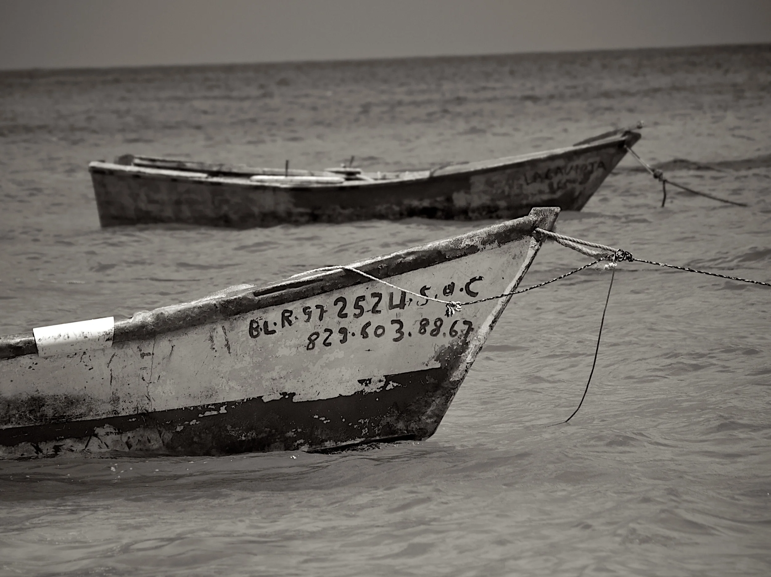 P4027392 - Version 3.jpg