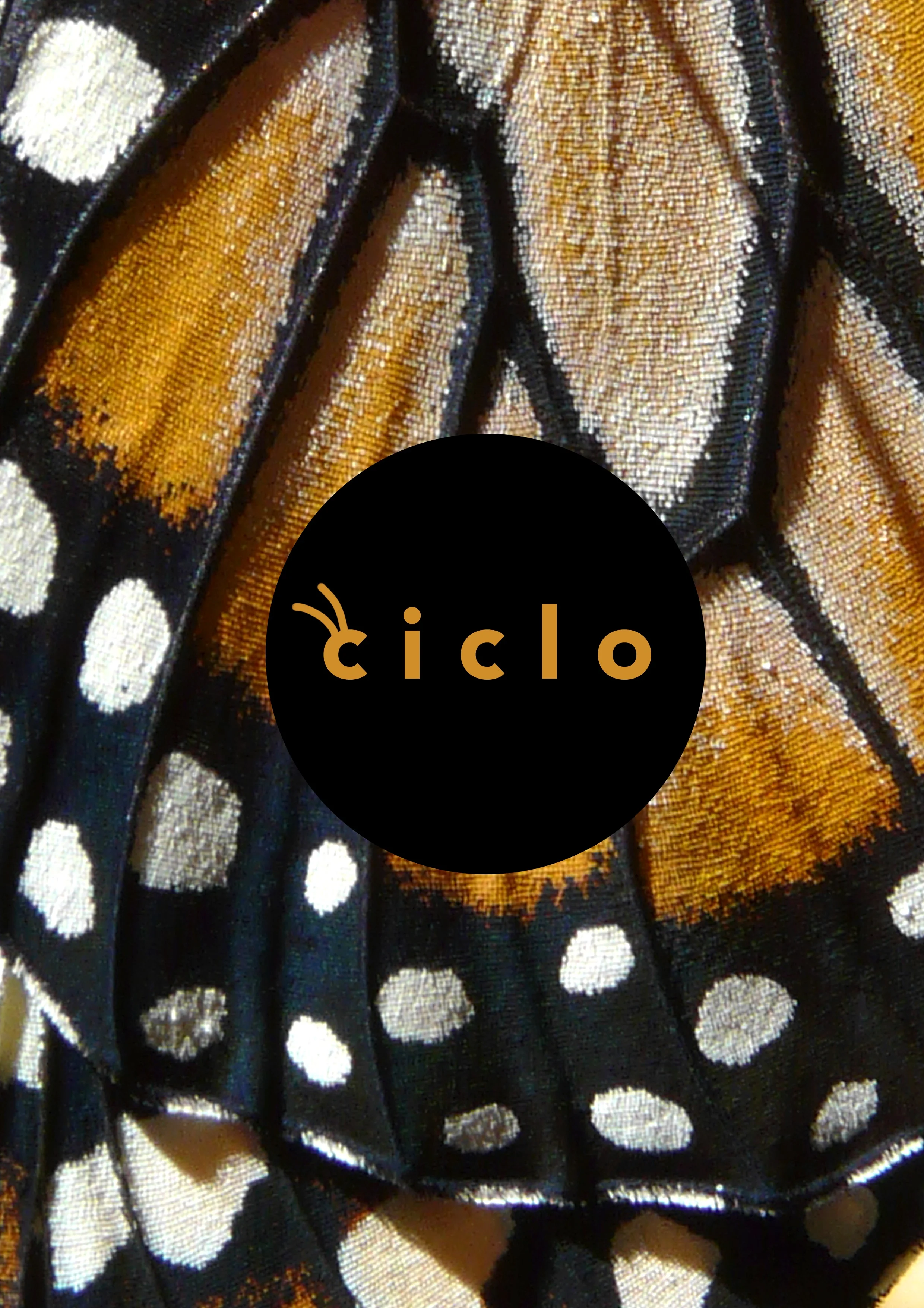 Ciclo_Posters_03.jpg