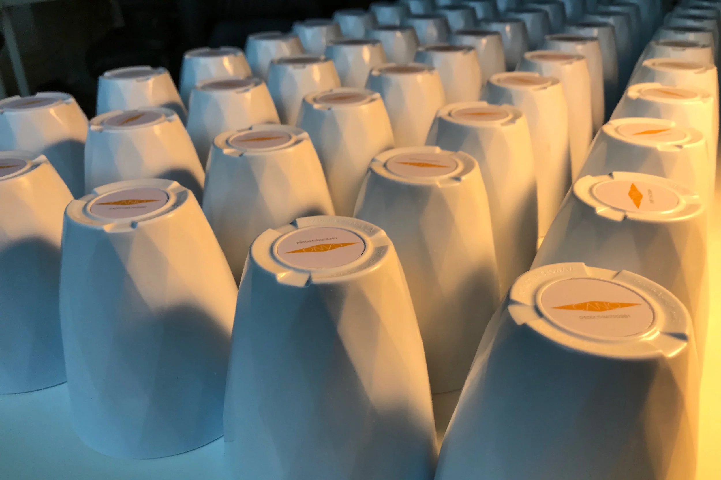 Tasse CANOtogo blanche 1_01.2019.JPG