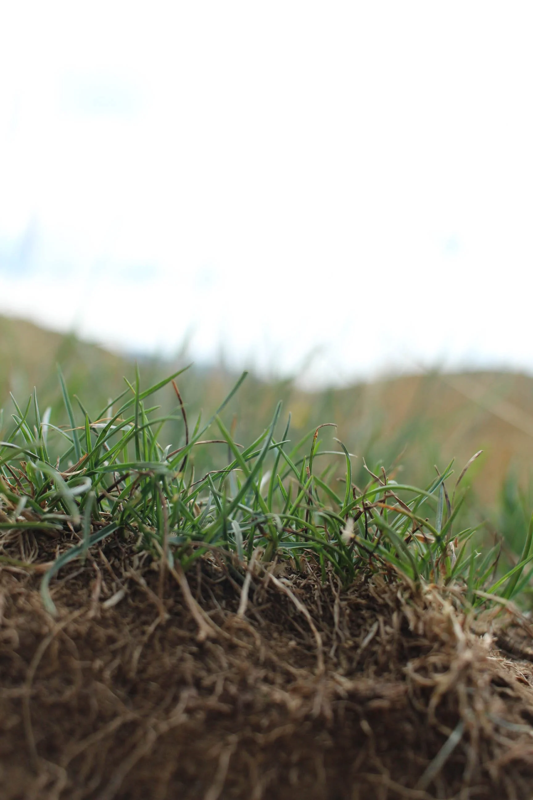 Danica Liongson_Research Process_07.jpg