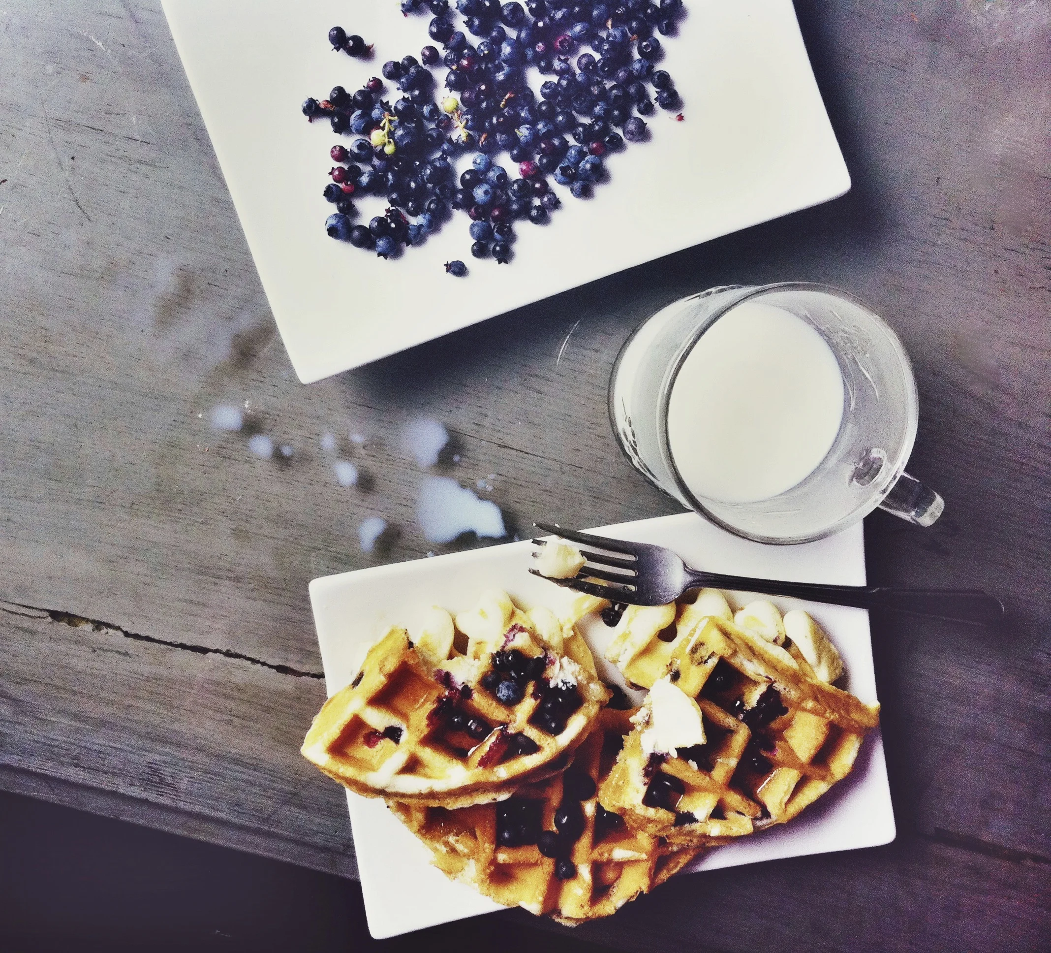 BLUEBERRY BREAKFAST OF CHAMPIONS