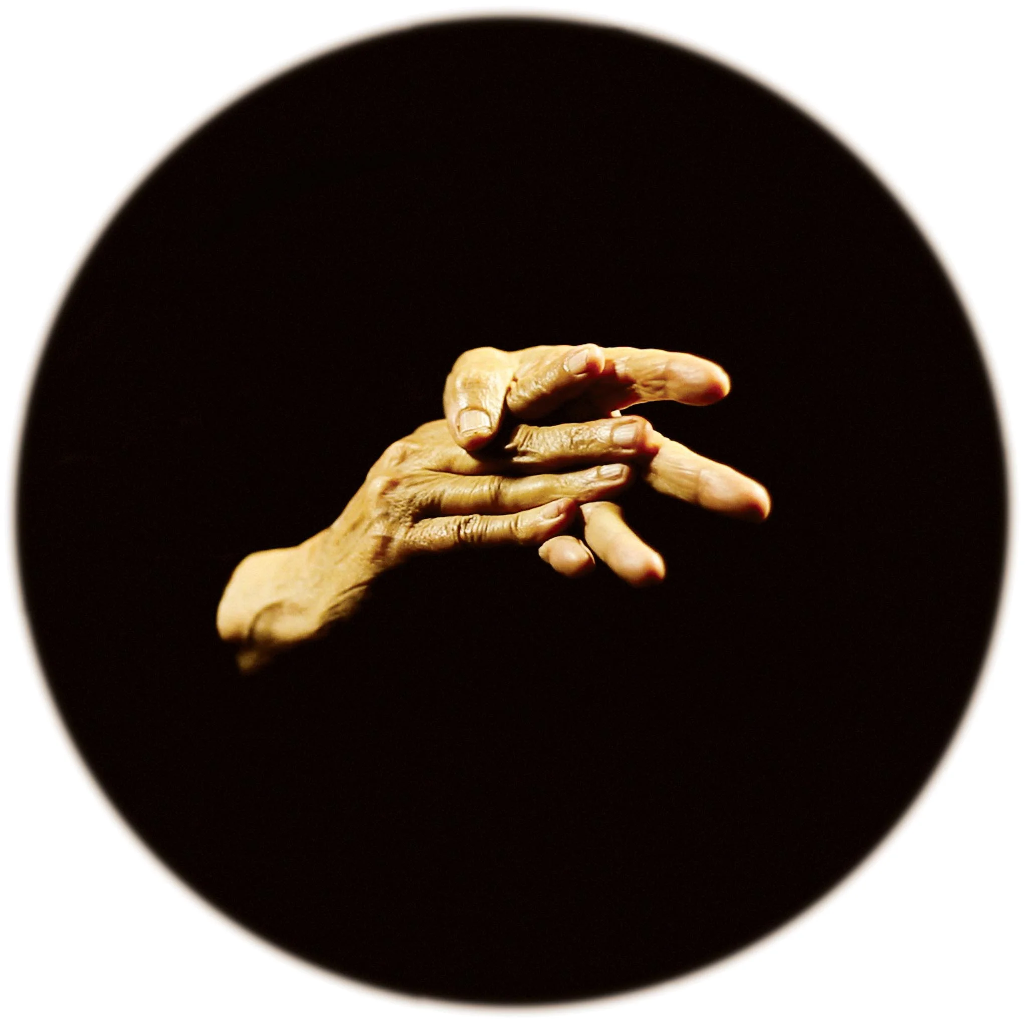 Shadi (Happiness) - 2011/13