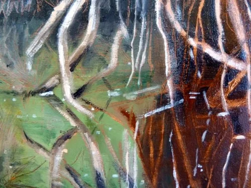 reflections 7.jpg
