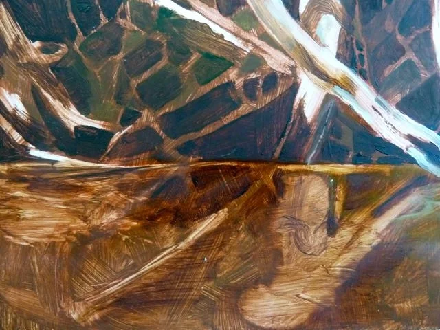 reflections 10.jpg