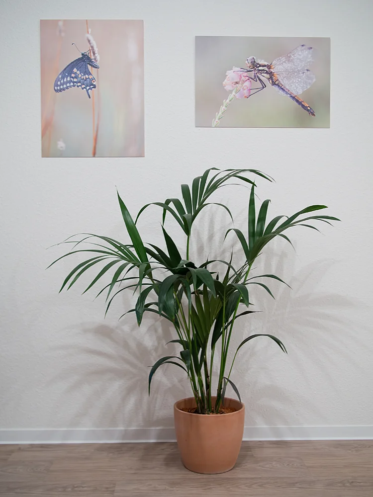 Meine ehemals leere Wohnzimmerwand