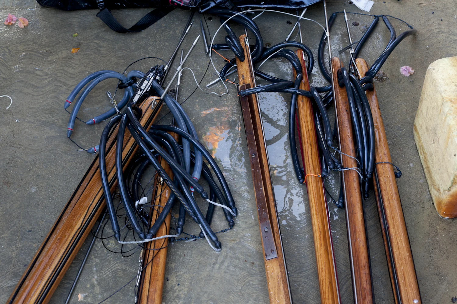 Spearfishing in Baja!