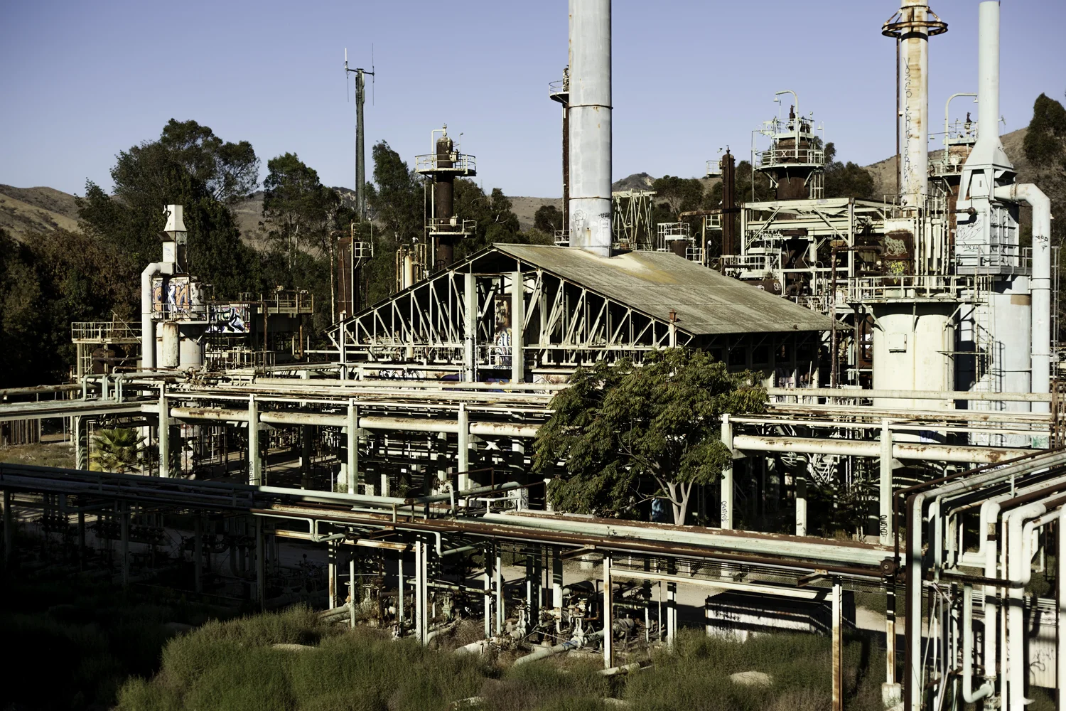 Pretty Girls Fighting!