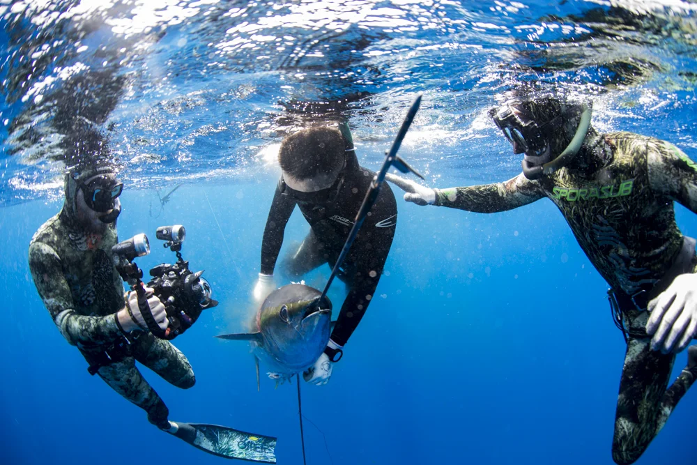 Hunting Yellowfin Tuna with Harbor House Life
