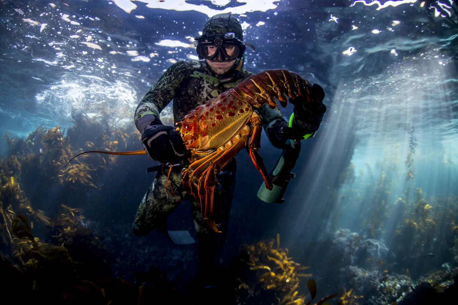 Found Folios Blog Post About Raabe Photo