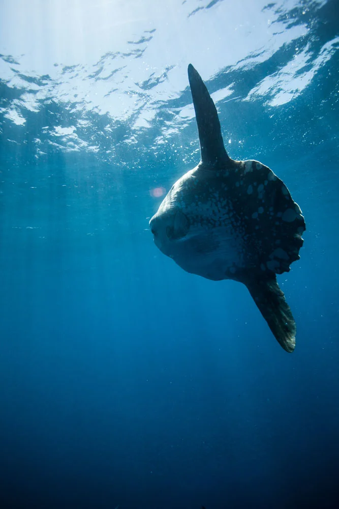 underwater_0018.jpg