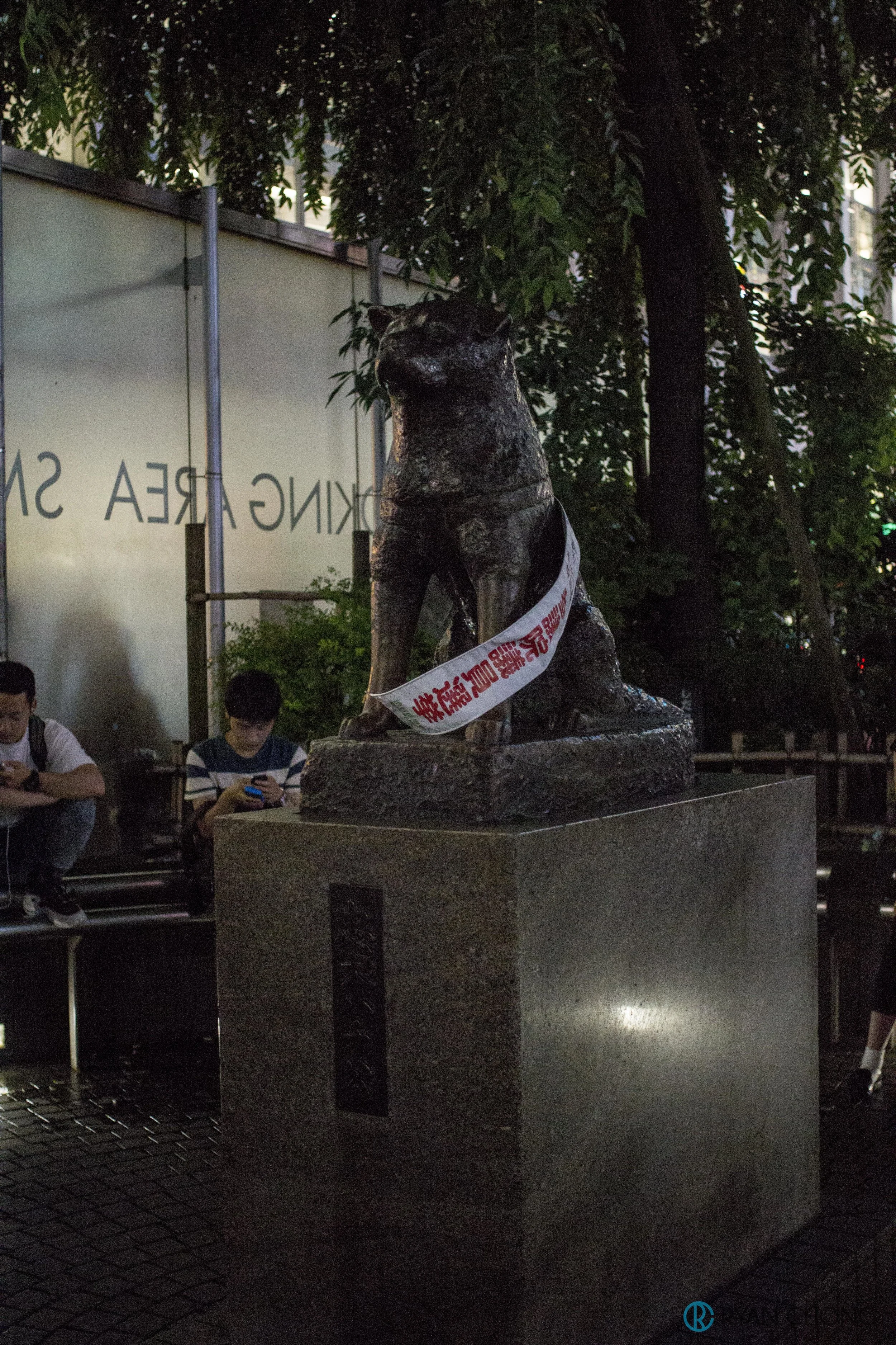 _MG_9797.jpg